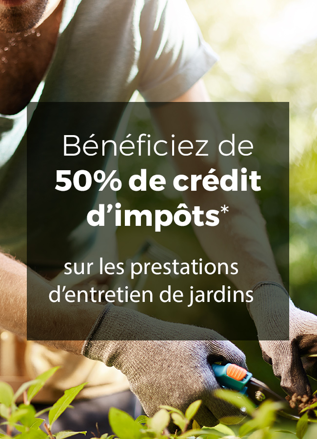 credit-impots credit-impots